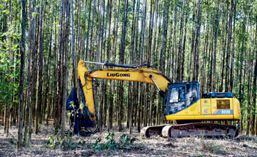 林場作業(yè) 柳工設備揮灑自如——柳工拉美市場系列報道之一