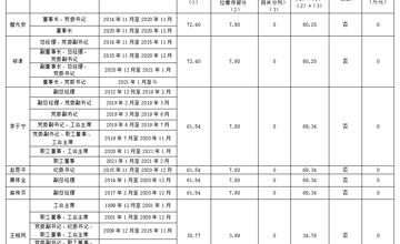 2019年度廣西柳工集團有限公司企業(yè)負責人薪酬信息披露